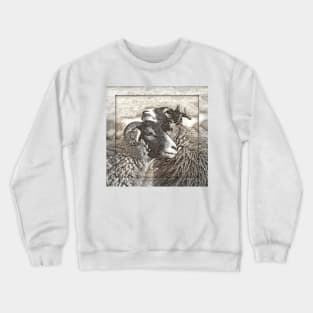 Swaledale Sheep 'Friends' Crewneck Sweatshirt